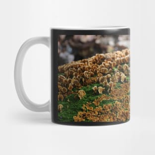 Lichen the Crowds Mug